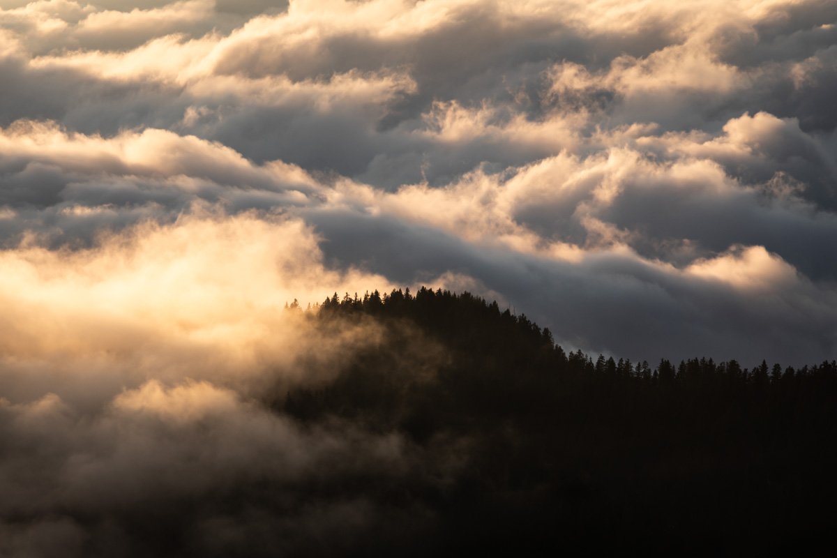 13 – Foret émergant des nuages