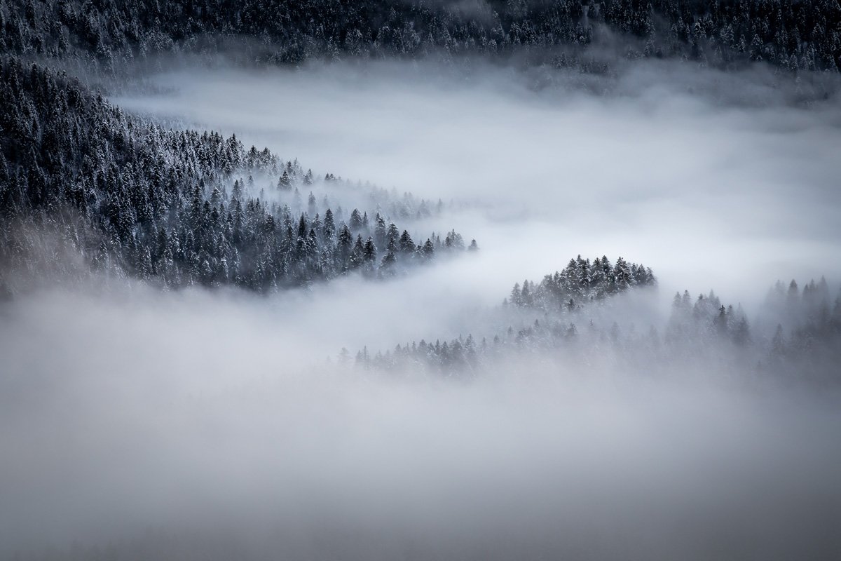 35 – Cimes dans la brume