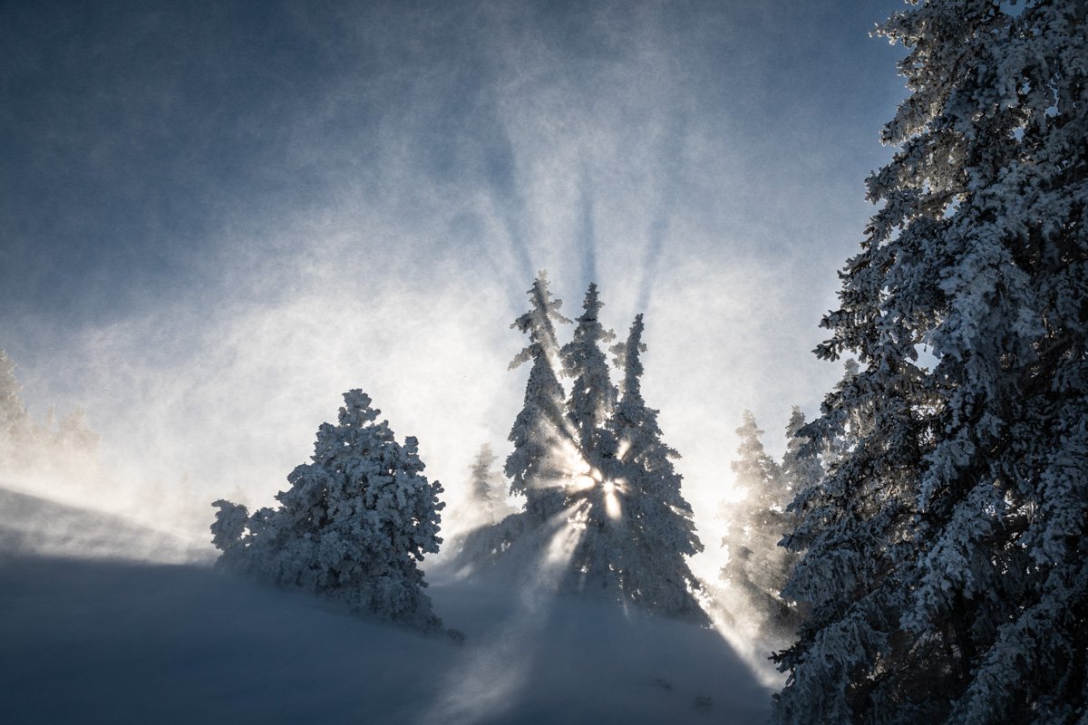 46 – Ombre et lumière