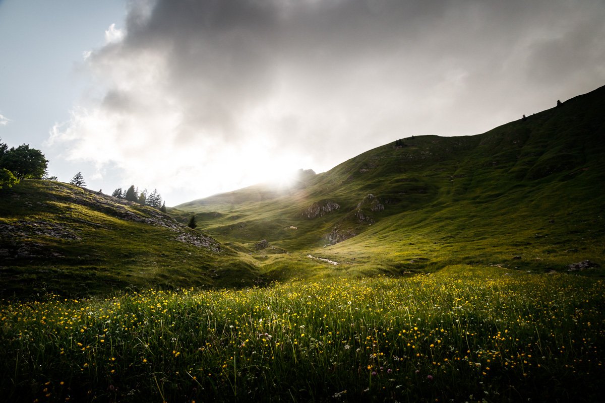 55 – Alpage printanier