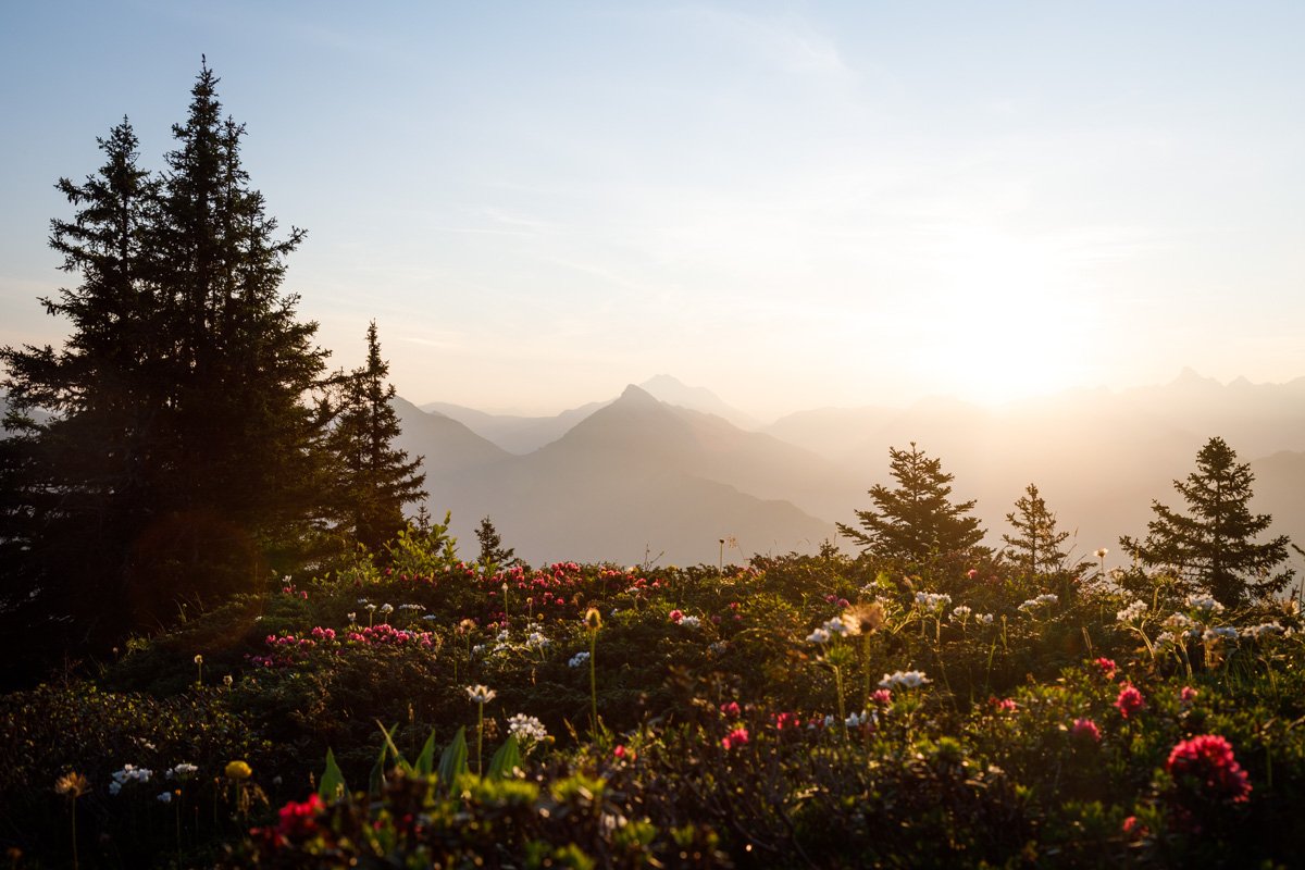 58 – Levé de soleil florale